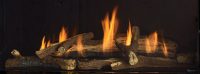 Regency City Series Gas Fireplace Glass Crystals Split Oak Log Set