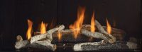 Regency City Series Gas Fireplace Glass Crystals Birch Log Sets