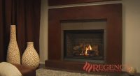 Regency Bellavista B41XTCE Large Gas Fireplace